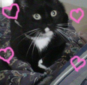 Meet your Posher, Denise